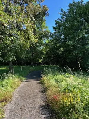 Naturlandschaft in der Nähe der Ferienwohnung