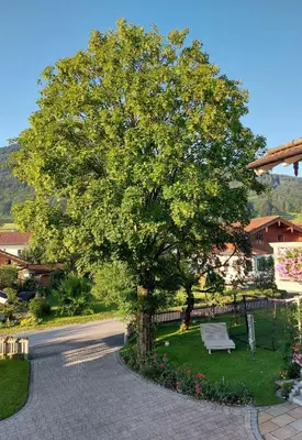 Ein Garten an der Unterkunft Ferien by Wallners