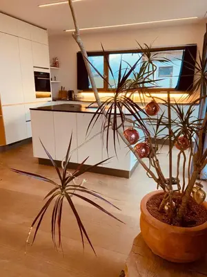 Küche/Küchenzeile in der Unterkunft Traumhaus sensationeller Lage Traumhafter Bergblick absolute Ruhe