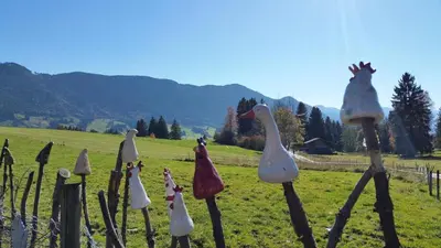 Naturlandschaft in der Nähe der Ferienwohnung