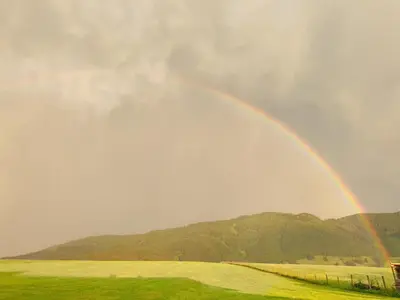 Naturlandschaft in der Nähe der Ferienwohnung