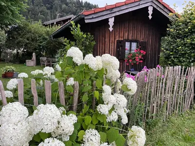 Ein Garten an der Unterkunft Apartment Sachrang