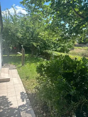 Ein Garten an der Unterkunft Altstadthaus an der Kleinen Donau