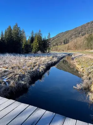 Naturlandschaft in der Nähe des Privatzimmers