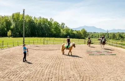 Gäste, die in der Unterkunft Moierhof - Der Ferienbauernhof am Chiemsee übernachten
