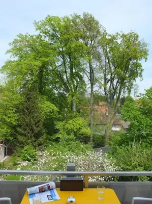 Ein Garten an der Unterkunft Dachgeschosswohnung Seeblick