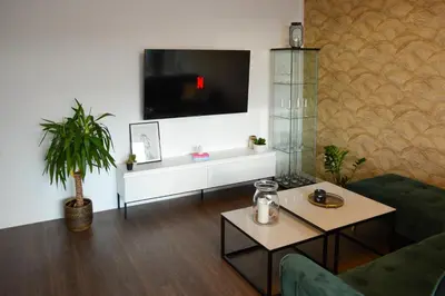 TV/Unterhaltungsangebot in der Unterkunft Cosy 4 room apartment - free parking - balcony - workspace