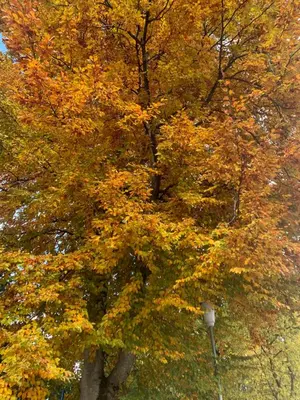 Naturlandschaft in der Nähe des Privatzimmers