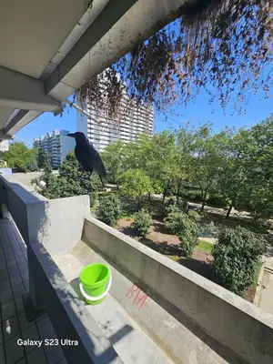 Ein Balkon oder eine Terrasse in der Unterkunft OEZ 3 Zimmer Wohnung