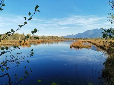 Naturlandschaft in der Nähe der Ferienwohnung
