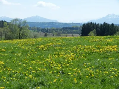 Naturlandschaft in der Nähe der Ferienwohnung
