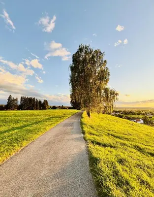 Naturlandschaft in der Nähe des Ferienhauses
