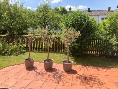 Ein Garten an der Unterkunft Riccardoshome