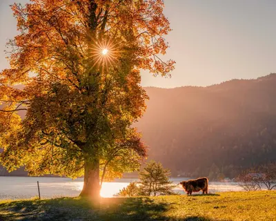 Naturlandschaft in der Nähe der Ferienwohnung