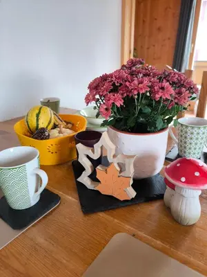 Essen in der Ferienwohnung oder in der Nähe