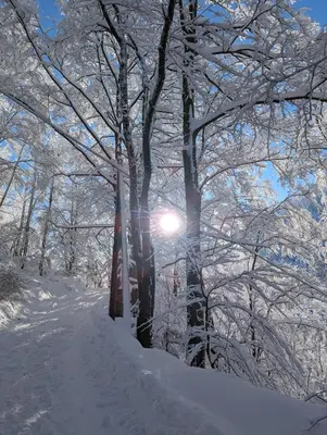 Ferienwohnung Goasnstoi - mit HotTub und Bergblick im Inntal im Winter
