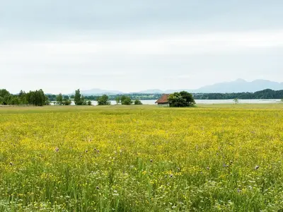 Naturlandschaft in der Nähe der Pension