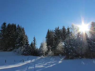 in the holiday home Vorbergblick im Winter