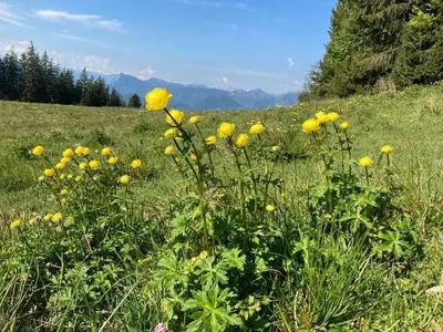 Naturlandschaft in der Nähe des Ferienhauses