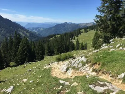 Naturlandschaft in der Nähe des Ferienhauses