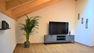 TV/Unterhaltungsangebot in der Unterkunft Ferienwohnungen Rosenheim - Pang