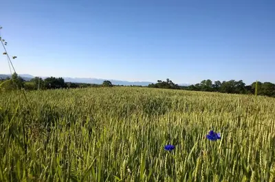 Naturlandschaft in der Nähe der Ferienwohnung
