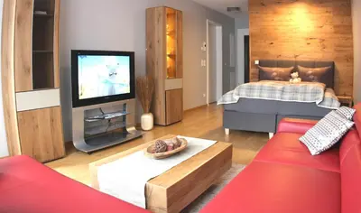 TV/Unterhaltungsangebot in der Unterkunft Zugspitze City Center Apartment
