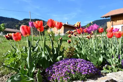 Ein Garten an der Unterkunft Neue 2 Zimmer FeWo im Murnauer Moos