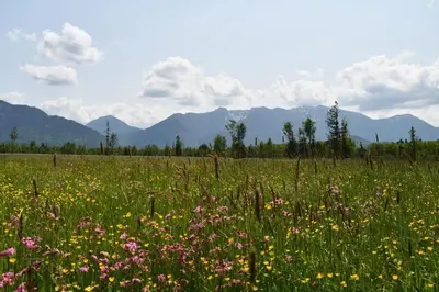Naturlandschaft in der Nähe der Ferienwohnung