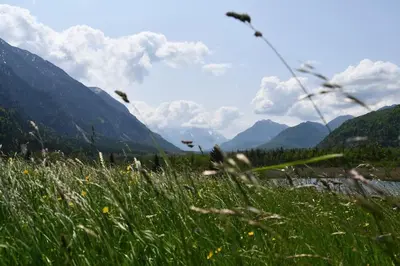 Naturlandschaft in der Nähe der Ferienwohnung