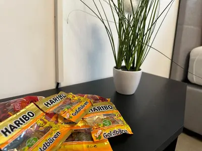 Grundriss der Unterkunft modernes Apartment in guter Lage