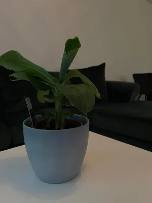 Ein Sitzbereich in der Unterkunft Luxury City Apartment in Munich