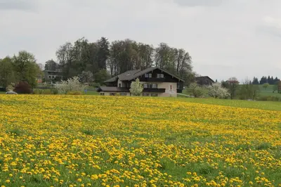 Naturlandschaft in der Nähe der Pension