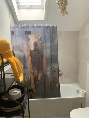Ein Badezimmer in der Unterkunft Murmelbau