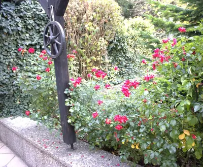 Ein Garten an der Unterkunft Traumhafte Ferienwohnung Andechs