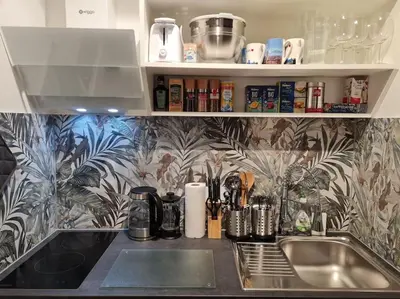 Küche/Küchenzeile in der Unterkunft City-Jungle ARTcommodation