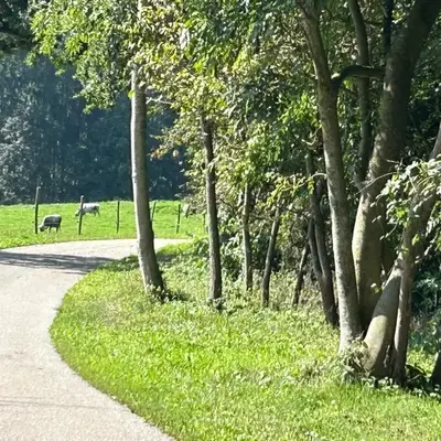 Natur pur Josefine