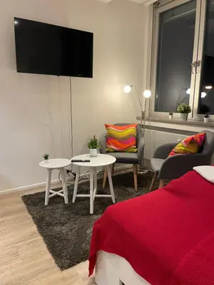 TV/Unterhaltungsangebot in der Unterkunft Modernes City-Apartment Nähe Uniklinikum und Zentrum