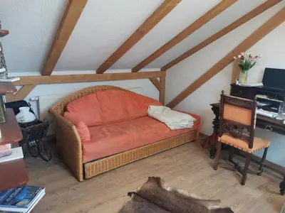 TV/Unterhaltungsangebot in der Unterkunft Ferienhaus mit 3 Schlafzimmer in Seenähe