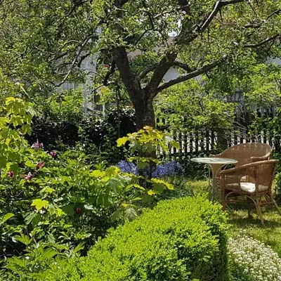 Ein Garten an der Unterkunft Ferienwohnung 1880