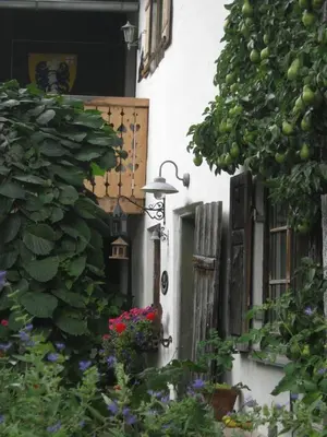 Ein Garten an der Unterkunft Ferienwohnung 1880