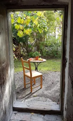 Ein Garten an der Unterkunft Ferienwohnung 1880