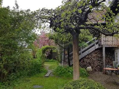 Ein Garten an der Unterkunft Ferienwohnung 1880