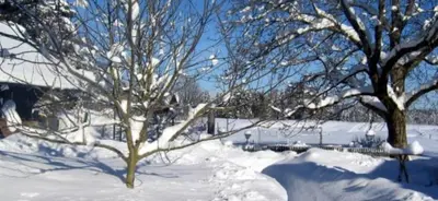 Alter Ledererhof im Winter