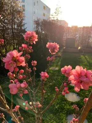 Ein Garten an der Unterkunft Bright new studio 43m2 with a beautiful garden