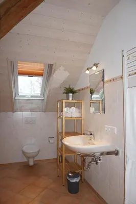 Ein Badezimmer in der Unterkunft Ferienhof beim Bohlar - Hochplatte