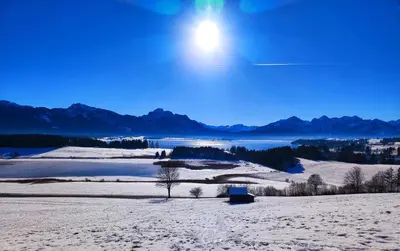 Naturlandschaft in der Nähe der Ferienwohnung