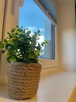Grundriss der Unterkunft Foxhome