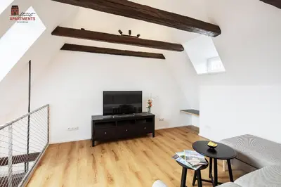 TV/Unterhaltungsangebot in der Unterkunft Altstadt Apartments