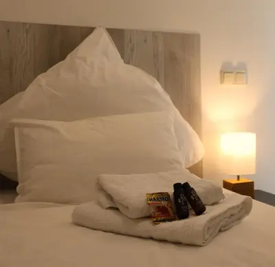 Ein Bett oder Betten in einem Zimmer der Unterkunft DUTTI'S HOME - 1 Zimmer Apartment, Küche, Self-Check-in, Stellplatz